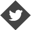 twitter twitter